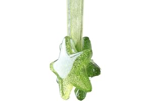 Nubstoer 2 Unidades Clips con Forma de Estrella con Abrazaderas para la Cortina con Hebilla de Cierre magnético Hebilla Verde