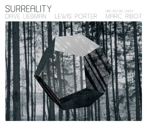 couverture de : Surreality, [2011]