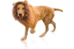 DEEDPF Peruka lwa dla psa z uszami, dla zwierzęcia, regulowana, na cosplay, wakacje, sesje zdjęciowe, imprezę, fantazyjna czapka, jasnobrązowa