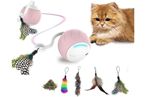 DigiMouse Interaktywna zabawka dla kota z aktywacją głosową i 4 zapasowymi piórami i kocimiętką - elektryczna piłka dla kotów - samozajęcie dla kotów - zabawka LED z przyłączem USB-C