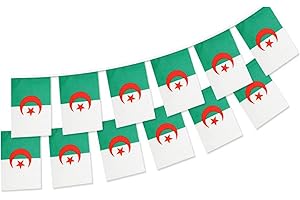 Stormflag Algérie Guirlande 6 mètres 20 Drapeaux France 14x21cm - Drapeau Algérie Bunting 14x21cm