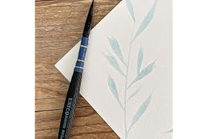 BORCIANI E BONAZZI Brosse S 856 Unique Infinito Liner VAIO Synthétique avec Reliure Mis. 2/0