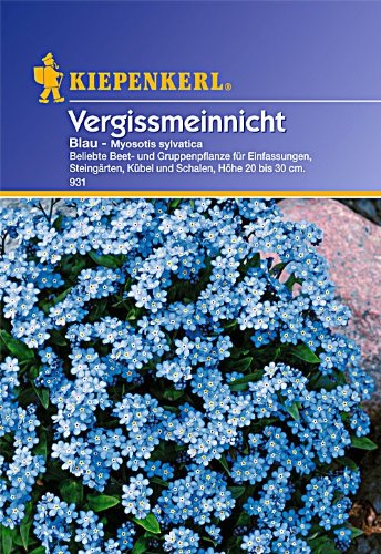Vergissmeinnicht 'Blau',1 Portion