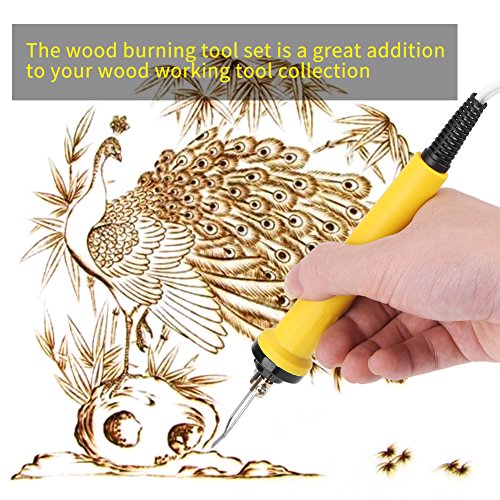 Pluma de Pirograbado de Madera Kit de Máquina de Pluma Multifuncional 220V AC Kit de Pirograbador con 20pcs Puntas y 1pc Pluma DIY Artesanía (EU Plug)