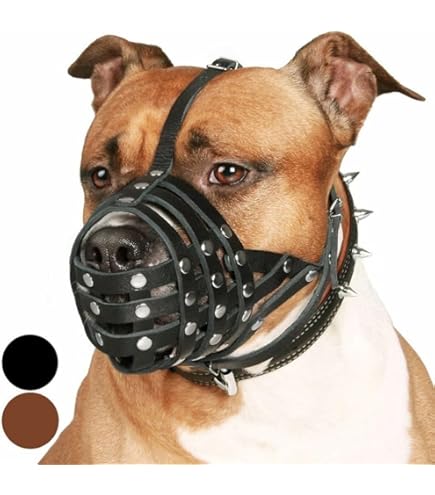 Museruola Per Pitbull In Metallo Bronzedog - Taglia Grande, Traspirante, Con Imbottitura In Neoprene - Foto 10