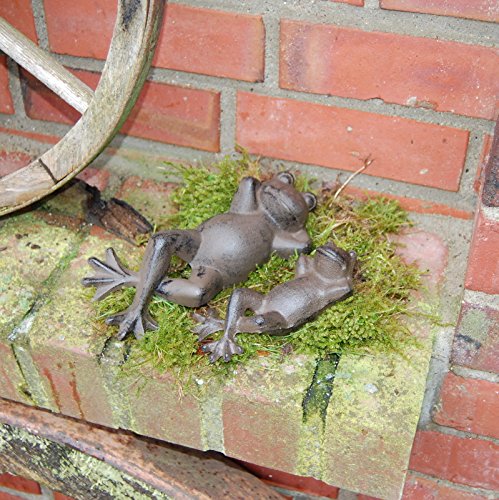 Frosch liegend, klein, braun - 2