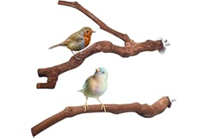 Yueser Pesce Persico in Legno Naturale, 2 Pezzi Stand Pappagallo in Legno per Pertica Posatoi in Legno di Uccelli per Gabbia per Uccelli Accessori per pappagalli Fringuini Pappagalli (2 Stili)