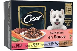CESAR Repas pour Chien - 48 Sachets Fraîcheur (Lot de 4 Packs 12x100g) - Pâtée pour Chien en Sauce - Boeuf / Poulet / Agneau / Dinde - Nourriture Complète & Equilibrée avec des Ingrédients Naturels