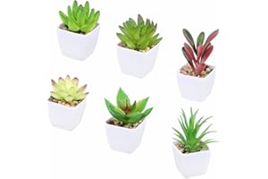 Tifuly 6 Piezas de Plantas suculentas Artificiales en macetas, suculentas pequeñas realistas Planta de vegetación Falsa con Maceta de melamina para la decoración de la Escuela en el hogar (Juego 3)