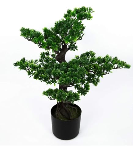 Pflanzen Klle Kunstpflanze Bonsai Zeder, Hhe ca. 65 cm : Amazon.de:  Kche, Haushalt & Wohnen