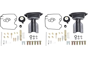 AQXREIGHT Kit di Riparazione del Carburatore 72 Pezzi, con Ago della Valvola a Galleggiante della Guarnizione della Membrana del Pistone per TDM