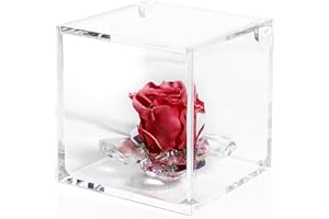 DC DEBORA CARLUCCI Debora Carlucci Rosa Stabilizzata Vera con 4 Petali in Cristallo Eterna in Cubo Idea Regalo Donna Compleanno Anniversario Matrimonio Festa della Mamma Bomboniera Blu-Bianco-Rosa-Rossa (Rosso)