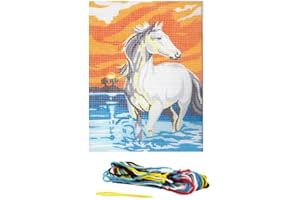 DISTRIFIL Kit Canevas Cheval Blanc - 12