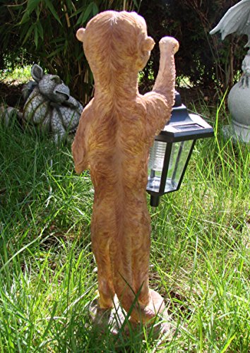 XL Erdmännchen Eddy mit Solarlaterne Figur Gartenfigur 40 cm - 4