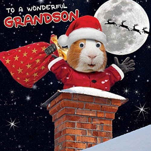 Santa Hamster "To A Wonderful Grandson" Single Xmas Card 3D Goggly Moving Eyes