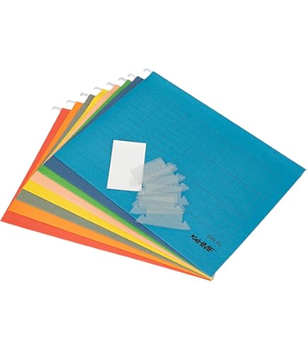 Esselte 93291 Classic Hanging Folder, Reinforced Foolscap, Recycled Kraft Cardboard, Transparent Plastic Viewing Window, Natural, Box of 50