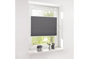 Deswell Plissee ohne Bohren Klemmfix Anthrazit B75 x H150 cm Plisseerollo Sonnenschutz und Sichtschutz Jalousien Easyfix Plissees Lichtdurchlässig Rollo für Fenster & Tür