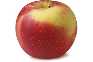 amorebio Apfel Elstar (1 x 2000 gr)