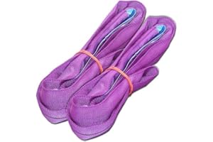 MGS SHOP Professional Round Sling 1 Tonne 1 Metre Lifting Bands Lifting Slings E Norm 1492-2 Purple (Set of 2)
