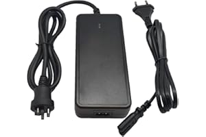 TNLI TEC Chargeur compact 42 V 2 A pour batterie de vélo électrique Bosch 36 V 2 A Active/Performance Line