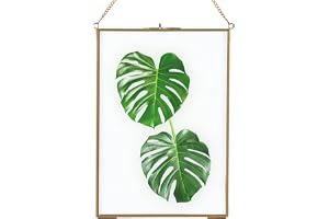 Homtone Glasram för vägg 21x30 cm, flytande displayram, hängeglas bildram, ren kopparpressad glasram för blommor mönster växt