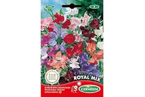 Germisem Royal Mix Semillas de Guisantes Dulces 4 g