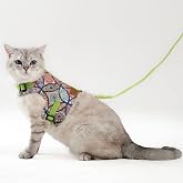 Patipatron Anti-Escape Cat Walking Collar And Small Breed Dog Walking Collar (M, Ethnic Green)