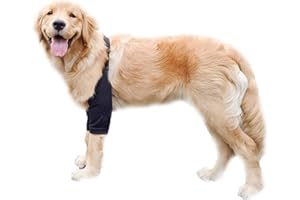 Blue Dream Island Manchon de récupération pour pattes avant de chien, genouillère protectrice pour chiens de taille moyenne et grande taille (noir)