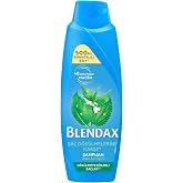 Blendax Isırgan &Ouml;zl&uuml; Şampuan 500 ml D&ouml;k&uuml;lmeye Eğilimli Sa&ccedil;lar İ&ccedil;in