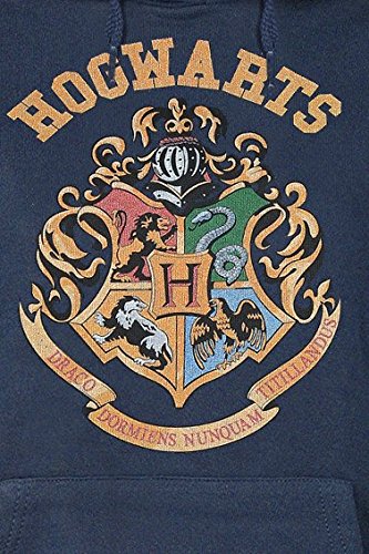 Plastichead-Damen-Sweatshirt-Harry-Potter-Crest-Ghsw