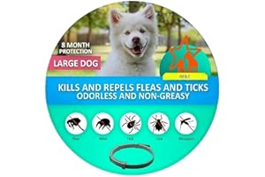 MERAPRIME MeraFarma Beile ®-Collar antiparasitario leishmania, Anti pulgas y garrapatas para Perros | Tratamiento pulgas Perros para Matar pulgas en los Perros | Collar antiparasitario Perros (Beili Large Dog)