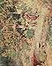 Produktbild A4 Photo Tyndale Walter 1855 1943 Fishing for goldfish at a winter fete Atami Japanese Gardens 1912 Print Poster