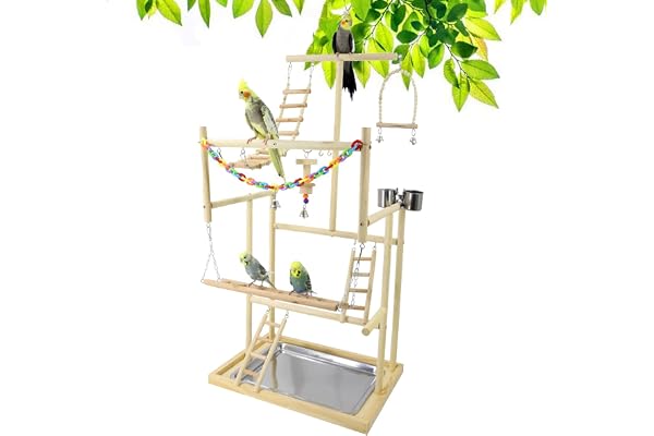 Joyeee Aire de jeu pour perroquet, avec plateau en acier inoxydable, Balançoire en bois, échelle, cloches, Chaîne en plastique colorée pour jeux d'oiseaux - 48 x 33 x 94,5 cm - XL