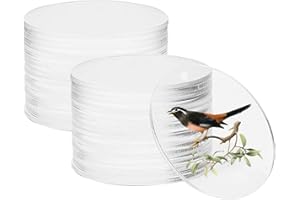 FYting Lastra Acrilica Trasparente,20 Pezzi Acrilici Rotondi,Dischi acrilici trasparenti Piatti vuoti in acrilico per cornici,Spesso Pannello Acrilico Segno per Cornice Pittura Artigianato,10cm*3mm