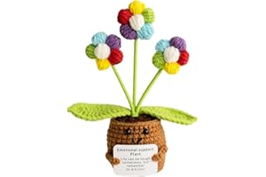 iewrtcin Emotional Support Crochet Positivity Gifts,Multicolor Crochet Flower Pot Plant,Handmade Crochet Emotional Support Plant Suitable for Gifts for Boys and Girls,Office Decoration,Room Decoration