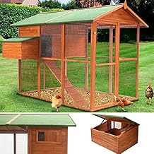 poulailler 10 poules amazon