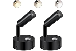 ERWEY 2pcs LED lampada da lettura 12V camper, lampada da letto con interruttore touch dimmerabile 3000K-6000K, DC 12V-24V illuminazione interna spot con porte USB A+C per barca auto van yacht, Nero