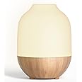 SALUBRITO Essential Oil Diffuser,100ml Ultrasonic Aromatherapy Diffuser for Home, Office, Cool Mist, Scented Oil Diffuser with Warm & 7 Color Light, Great for Yoga, Sleep, One Button Simple Control