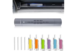 JAWUZ 1 Piezas Ambientador De Aire Para Coche Con 10 Palos De Aroma Sólido, Ambientador Coche Olor Nuevo, Difusor De Fragancia Para Vehículo, Purificador De Aire, Desodorante De Coche(gris)