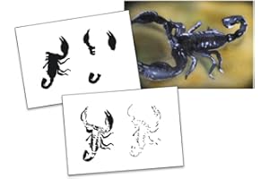 UMR-DESIGN Step by Step Airbrush Schablone Scorpion AS-017