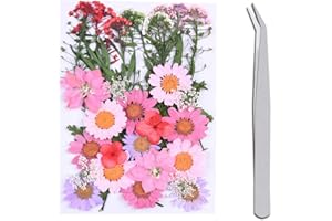 WJIAEER 35 STÜCKE Natürliche Geprägte Trockenblumen, Getrocknete Blumen, DIY Gepresste Blumen Trockenblumen zum Basteln Trockenblumen