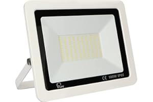 MILLE LUCCIOLE Projecteur LED Exterieur 100W,10000LM Spot LED Extérieur,Projecteur avec 144 LEDs Eclairage Exterieur IP65 Etanche,3000K Blanc Chaud Projecteur LED Extérieur,Pour Jardin,Garage,Entrée【Blanc】