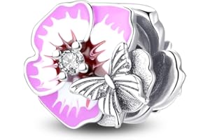 XWN Charms Abalorios Colgante para mujer, plata de ley 925, compatible con pulseras y collares Pandora, compatible con pulseras europeas para mujeres y niñas X121