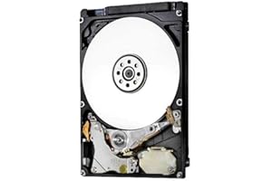 HGST Travelstar 7K1000 1TB - Disco Duro Interno de 1 TB (Serial ATA III, 1000 GB, 2.5 "), Negro y Plateado