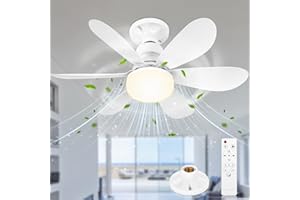 Beeoecm Deckenleuchte mit Ventilator, 52cm Ventilator Decke mit Beleuchtung und Fernbedienung, Deckenventilator Klein Leise mit E27, 3 Windstufen, Dimmbar, Timing Funktion