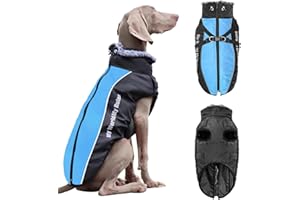 Jodsen Cappotto Impermeabile Giacca Invernale Calda,Grande Cappotto Invernale Per Cani Giacca per Cani con Imbracatura Gilet Riflettente Antivento per Cani Grandi,Cani di Taglia Grande (4XL,Blu)