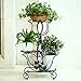 Produktbild LILSN- Pastorale Eisen Blumen Racks Multi - Storey Indoor Balkon Wohnzimmer Blumenrahmen Blumentöpfe Green Radix Orchidee Stand ( Farbe : Schwarz )