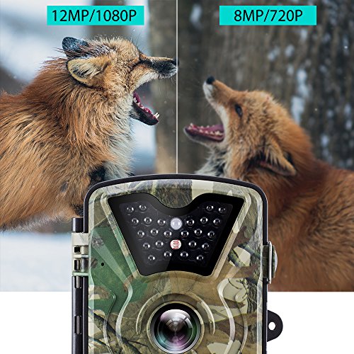 UKTUNU Cámara de Caza 12MP 1080P Infrarrojos Nocturna Camaras IP66 Seguridad Hogar Mascota Animal Trail Cámara con 16GB SD Card