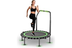 LISCHWERT Fitness Trampoline Indoor for Home, Foldable Mini Trampoline with Grab Bar, Height Adjustable, Workout & Cardio Training, Load Capacity 150 kg for Adults and Children