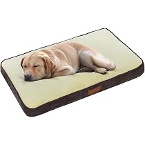 Ellie-Bo Hundebett-Matratze 56x41x10 Cm – Waschbar, Weich, Mit Rutschfester Unterseite
